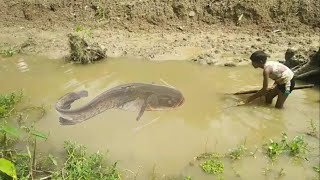 Amazing Traditional Fishing By Village Boy | Primitive System Fishing Asian People
