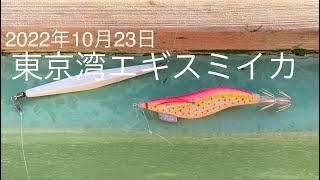 東京湾エギスミイカ釣り 2022年10月23日