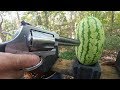 460 Magnum vs Watermelons