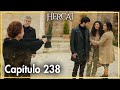 Hercai - Capítulo 238