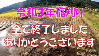 令和３年稲刈り全て終了しましたありがとうございます 美味しいお米 通販 長野県 信州 飯山 コシヒカリ 幻の米 農家 金崎さんちのお米