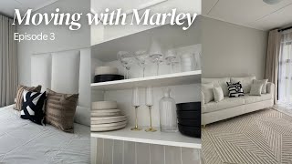 Moving Vlog EP3: New Carpet+ TV unboxing+ First Grocery Haul+ New Glassware+ MORE