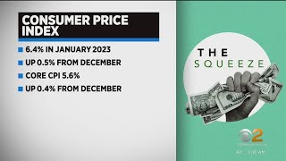 Consumer Price Index explained