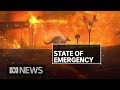 NSW Fires: Residents of Malua Bay and Rosedale assess damage | ABC News