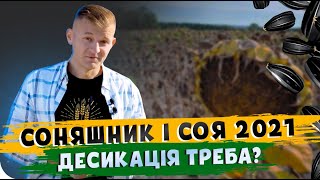 ДЕСИКАЦІЯ 🌻СОНЯШНИКА І СОЇ🌱 2021. ТРЕБА РОБИТИ? Основи фермерства