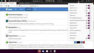 [Ubuntu Desktop 20.04 LTS] GNOME Extensions 설치하기