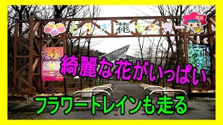 栃木花センターは綺麗な花や、珍しい植物　又、可愛い汽車など家族で楽しめます。