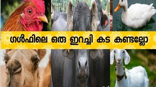 ഗൾഫിലെ ഒരു ഇറച്ചി  കട കണ്ടല്ലോ-Fresh meat shop in Dubai , Ajman UAE