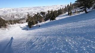 Snowbasin 31 Jan 2019, parson’s to wildflower