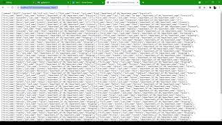 Server Routes using NodeJS, PostgreSQL, Postman and VS Code