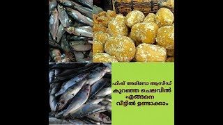 ഫിഷ് അമിനോ ആസിഡ് എങ്ങനെ കുറഞ്ഞ ചെലവിൽ വീട്ടിലുണ്ടാക്കാം ഫിഷ് അമിനോ ആസിഡ് എങ്ങനെ കുറഞ്ഞ ചെലവിൽ വീട്ടിലുണ്ടാക്കാം