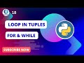 loop in tuple python
