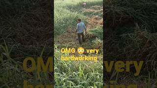 only village man Hard work 😳 #subscribe #shortvideo #ytshorts #youtube #shorts#viral#viralshorts