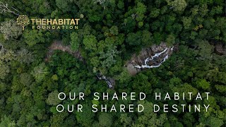 THF Corporate Video (2024): Our Shared Habitat, Our Shared Destiny