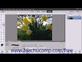 Photoshop Elements 2018 Tutorial The Clone Stamp Tool Adobe Training