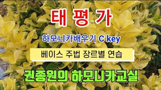 태평가 - 하모니카 배우기