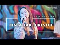 Fira Cantika - Cinta Tak Direstui (Official Music Video)