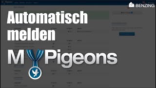 MyPigeons - BENZING Live - Instructie video benzing automatisch melden voor Nederland