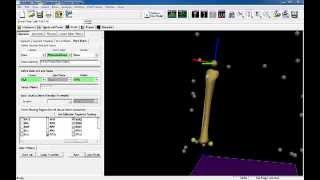 Visual3D Video Tutorial: 6DoF Model Building - Segment Coordinate System