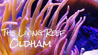 THE LIVING REEF|| OLDHAM!!