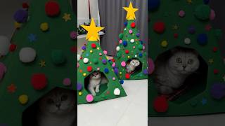 Christmas tree for cats #cat #cats