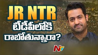 Does Jr NTR makes Political Entry ? | Buchaiah Chowdary Sensational Comments on Jr NTR | Ntv