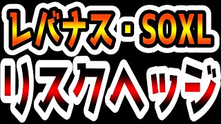 【朗報】レバナス・SOXLと組み合わせて効率的に運用できる投資信託が登場！