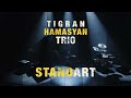 Tigran Hamasyan - StandArt (Live Concert at the Pole Pixel in Villeurbanne)