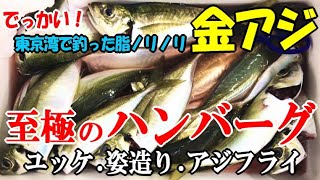 アジ釣り料理の決定版！みんな大好きアジハンバーグ・極上アジユッケと姿造りでアジ三昧！おまけにイシモチの絶品炙りとアジフライ冷凍方法