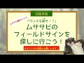 トヨタの森【生き物解説】ムササビ編⑤「た、食べられるっ 」ヘビに襲われた子ムササビがとった行動とは