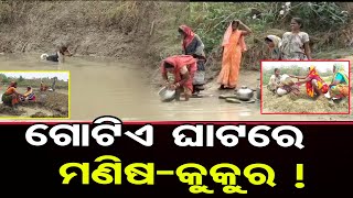 ଗୋଟିଏ ଘାଟରେ ମଣିଷ- କୁକୁର ! | Odisha Reporter