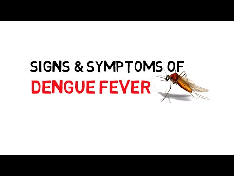 DENGUE SYMPTOMS DENGUE SYMPTOMS