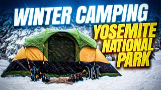 Winter camping in Yosemite National Park (Bear spotted)