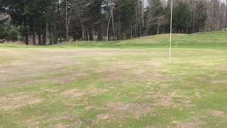 Damage and Recovery of our Greens