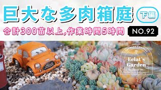 【NO.92】【多肉植物】50鉢以上減らしました！置き場所改善！