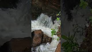 kalakad sivapuram river...🌳