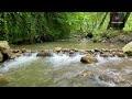 iran 2022 walking in kashpel forest park پارک جنگلی کشپل ؛ چمستان