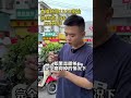 一萬預算想找冰透的白月光翡翠手鐲，在平洲市場能找到什麼樣（4） 翡翠 翡翠手镯 翡翠手鐲 翡翠直播