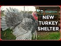 Building A Shelter For The Turkeys (Autumn 2018)