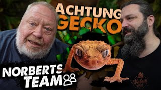 SCHON WIEDER EINE STÖRUNG | NORBERTS TEAM | Zoo Zajac