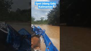 Spot Idaman Mancing Udang Gala di Kalimantan