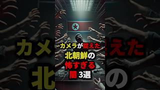 🇰🇵カメラが捉えた北朝鮮の怖すぎる闇3選 #都市伝説 #怖い話 #雑学