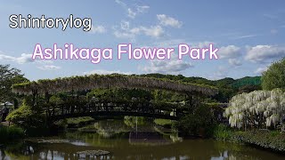 4K 아시카가 플라워 파크(AshikagaFlowerPark) | 아이둘과 꽃구경 🐿