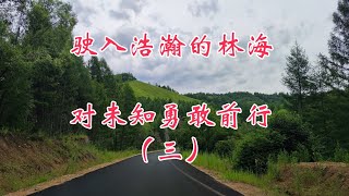 驶入浩瀚的林海，对未知勇敢前行，环中国自驾D130（三）