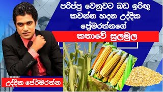 පරිප්පු වෙනුවට බඩ ඉරිඟු කවන්න හදන උද්දික ප්‍රේමරත්නගේ කතාවේ සුලමුල