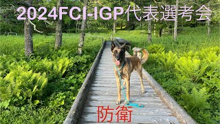 2024年FCI-IGP日本代表選考会　防衛