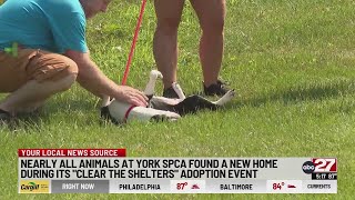 York SPCA helps 100+ animals find new homes during adoption event