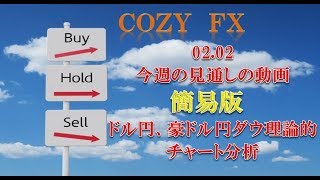 02.02 今週の見通しの動画 簡易版　 ドル円、豪ドル円ダウ理論的 チャート分析