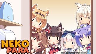 NEKOPARA Volume 1 (Switch) Review