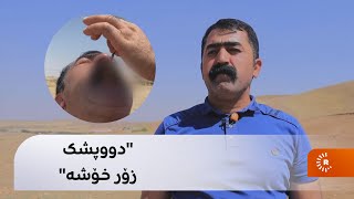 لە کەڵەکچی پیاوێک دووپشک دەخوات و دەڵێت: زۆر خۆشە